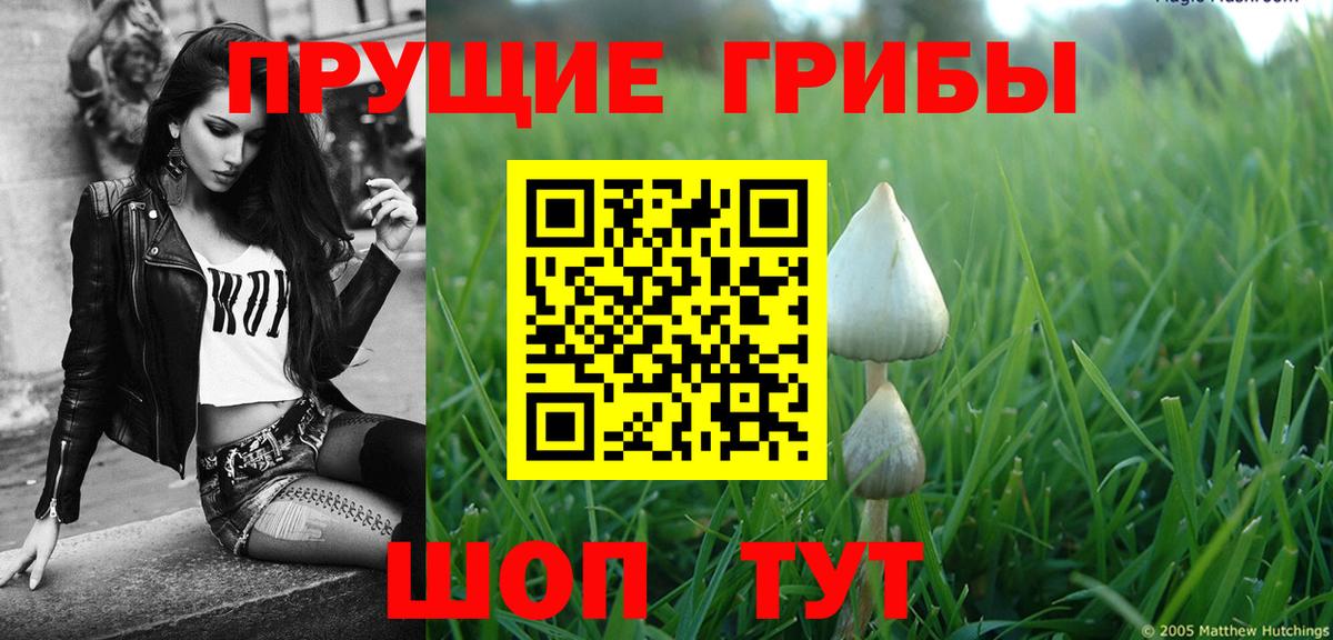 Псилоцибиновые грибы Magic Shrooms Бийск