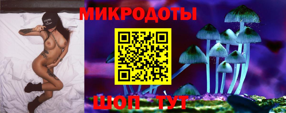 Псилоцибиновые грибы GOLDEN TEACHER  Вход с VPN  Бийск  Псилоцибиновые грибы Psilocybe 