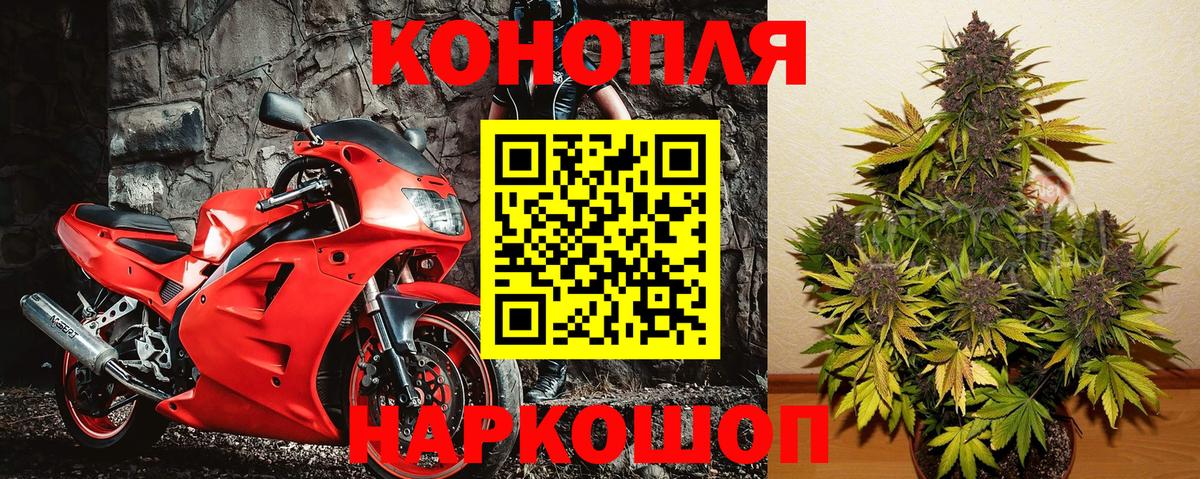Бийск  Бошки марихуана White Widow  Вход с VPN  Бошки Шишки SATIVA & INDICA  Бошки марихуана SATIVA & INDICA 